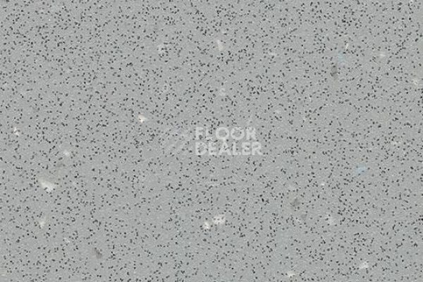 Линолеум FORBO SafeStep R12 175752 slate grey фото 1 | FLOORDEALER